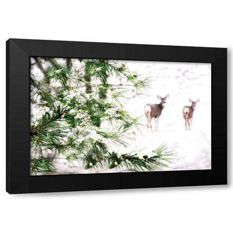 Winters Dream Black Modern Wood Framed Art Print by Tyrrell, Lu Anne