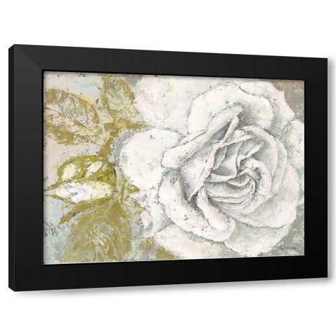 White Rose Blossom Black Modern Wood Framed Art Print with Double Matting by Cusson, Marie Elaine