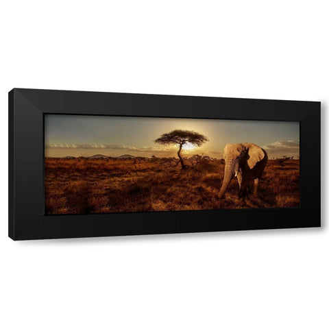 Elephant and Tree Black Modern Wood Framed Art Print by Michal, Susan