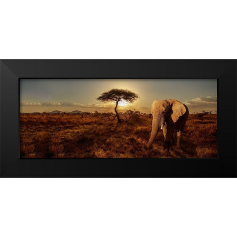 Elephant and Tree Black Modern Wood Framed Art Print by Michal, Susan