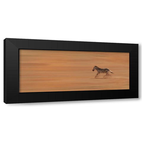 Zebra Running Black Modern Wood Framed Art Print with Double Matting by Michal, Susan