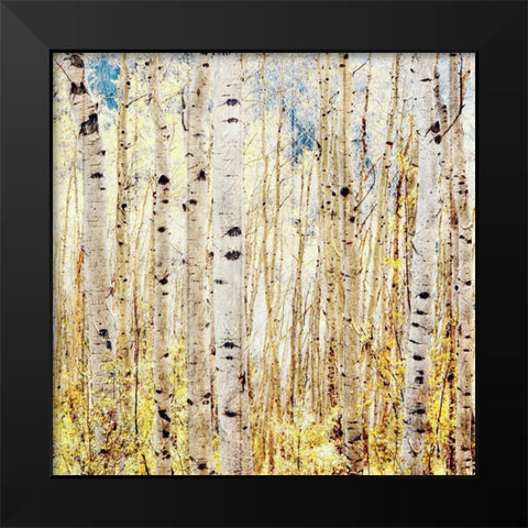 Birch Grove Black Modern Wood Framed Art Print by Tyrrell, Lu Anne