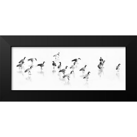Flock of Canada Geese Black Modern Wood Framed Art Print by Tyrrell, LuAnne