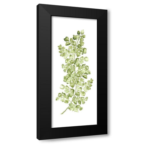 Botanical Fern Single IV Black Modern Wood Framed Art Print with Double Matting by Tre Sorelle Studios