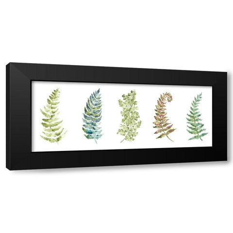 Botanical Ferns Panel Black Modern Wood Framed Art Print with Double Matting by Tre Sorelle Studios