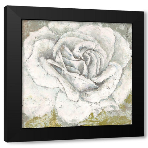 White Rose Blossom Square Black Modern Wood Framed Art Print with Double Matting by Cusson, Marie-Elaine