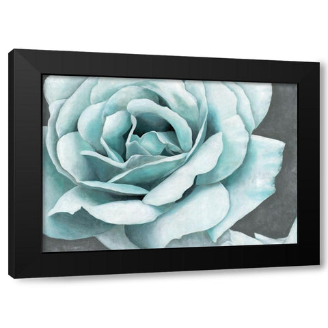 Rose Bloom Black Modern Wood Framed Art Print with Double Matting by Cusson, Marie-Elaine
