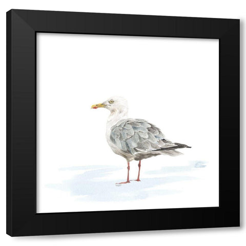 Birds of the Coast on White VI Black Modern Wood Framed Art Print by Reed, Tara