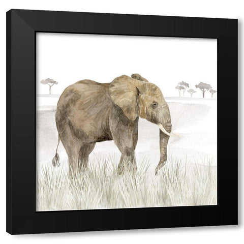 Serengeti Elephant Square Black Modern Wood Framed Art Print with Double Matting by Reed, Tara