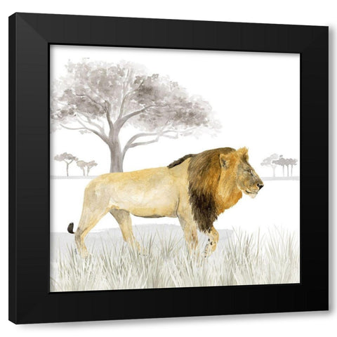 Serengeti Lion Square Black Modern Wood Framed Art Print by Reed, Tara