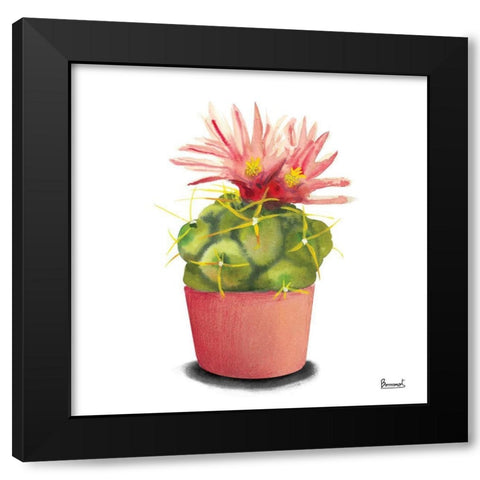 Cactus Flowers I Black Modern Wood Framed Art Print with Double Matting by Bannarot