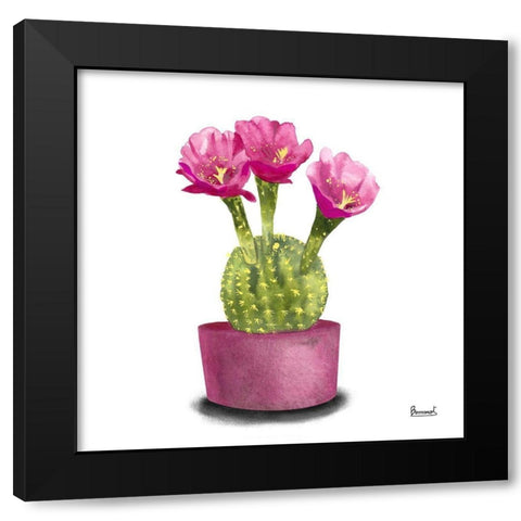 Cactus Flowers V Black Modern Wood Framed Art Print with Double Matting by Bannarot