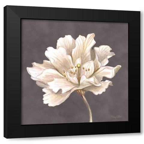 Cream Willow Blossom I Black Modern Wood Framed Art Print with Double Matting by Wilson, Kelsey