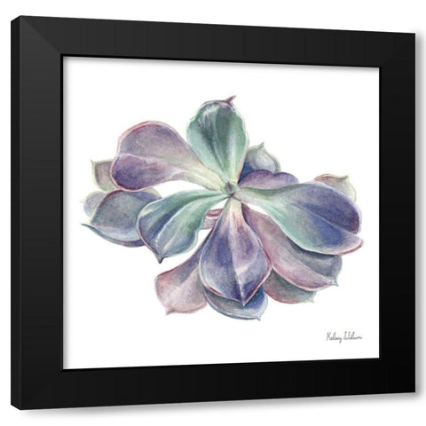 Single Succulents II Black Modern Wood Framed Art Print by Wilson, Kelsey