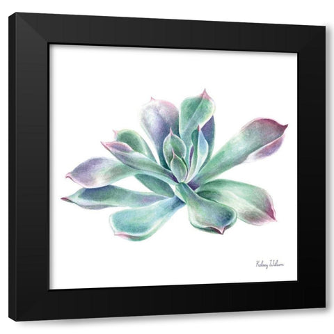 Single Succulents III Black Modern Wood Framed Art Print by Wilson, Kelsey