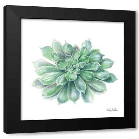 Single Succulents IV Black Modern Wood Framed Art Print by Wilson, Kelsey