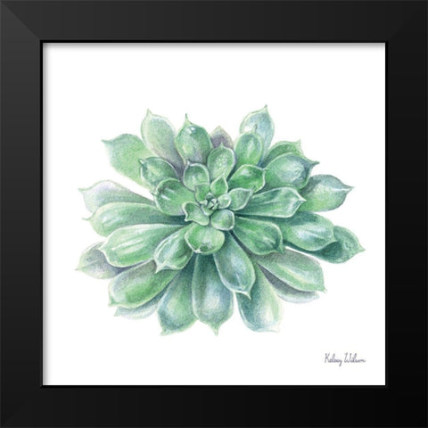Single Succulents IV Black Modern Wood Framed Art Print by Wilson, Kelsey
