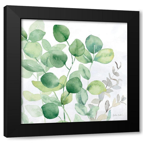 Eucalyptus Leaves II Black Modern Wood Framed Art Print with Double Matting by Coulter, Cynthia