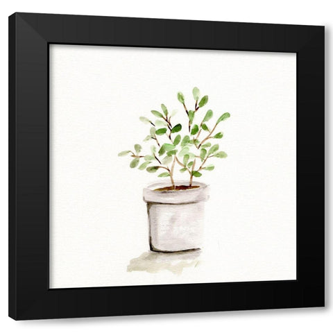Potted Botanicals I Black Modern Wood Framed Art Print with Double Matting by Chapman, Marcy
