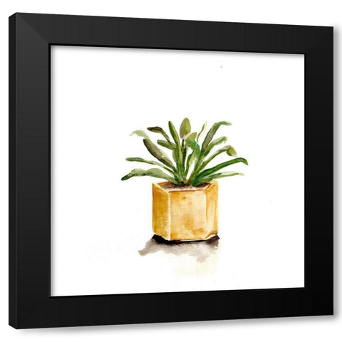 Potted Botanicals II Black Modern Wood Framed Art Print with Double Matting by Chapman, Marcy