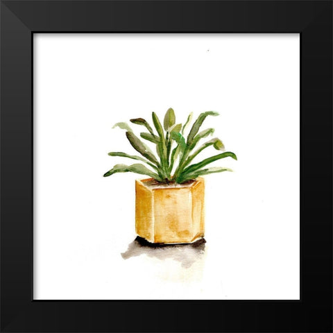 Potted Botanicals II Black Modern Wood Framed Art Print by Chapman, Marcy
