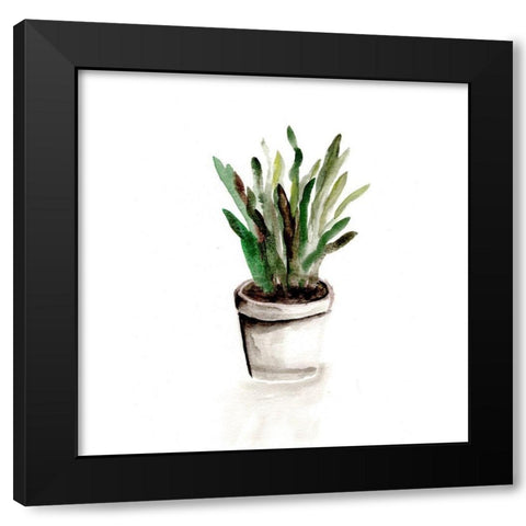 Potted Botanicals III Black Modern Wood Framed Art Print with Double Matting by Chapman, Marcy