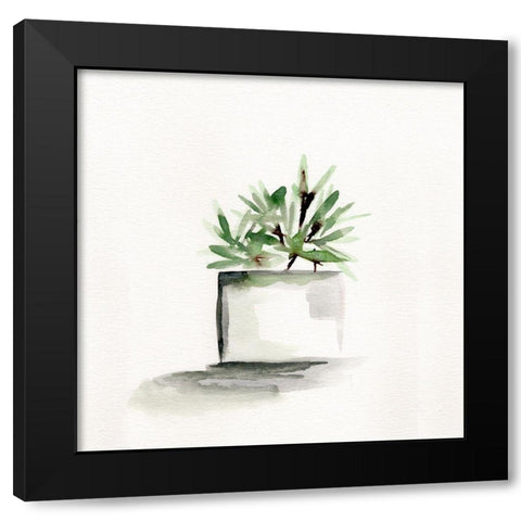 Potted Botanicals IV Black Modern Wood Framed Art Print by Chapman, Marcy