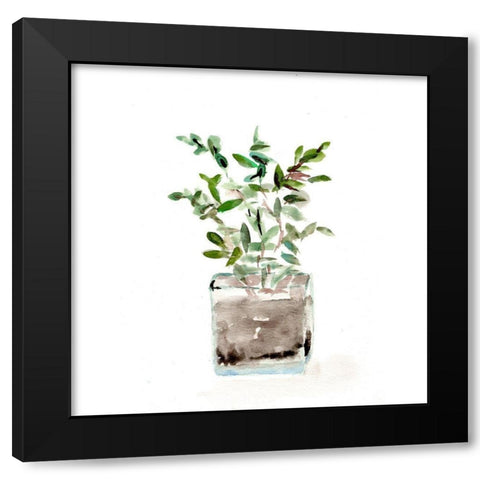 Potted Botanicals V Black Modern Wood Framed Art Print by Chapman, Marcy