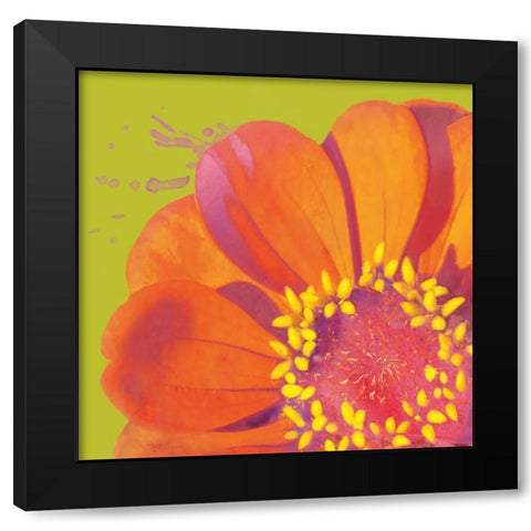 Flower Pop I Black Modern Wood Framed Art Print by Cusson, Marie Elaine