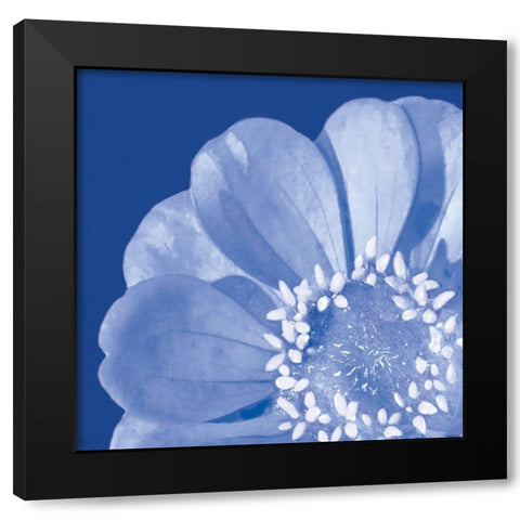 Flower Pop blue I Black Modern Wood Framed Art Print by Cusson, Marie Elaine