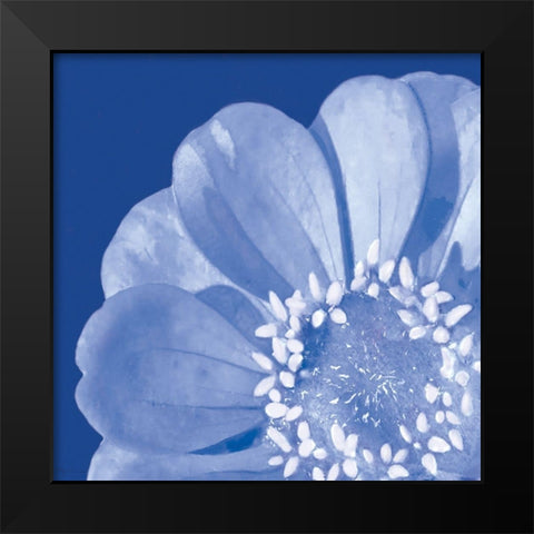 Flower Pop blue I Black Modern Wood Framed Art Print by Cusson, Marie Elaine