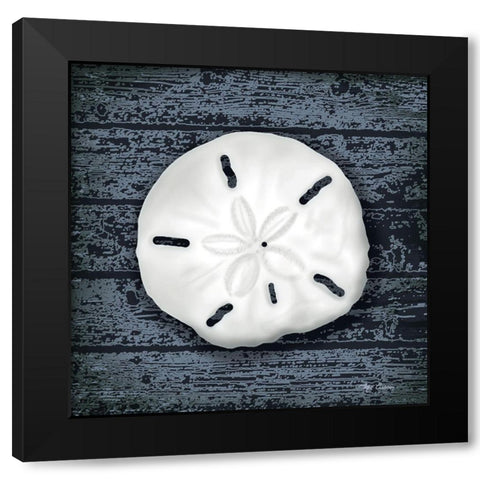 Seashore Shells Navy II Black Modern Wood Framed Art Print with Double Matting by Cusson, Marie Elaine