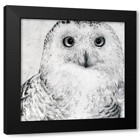 Portrait of a Snowy Owl Black Modern Wood Framed Art Print by Cusson, Marie Elaine