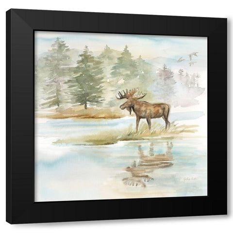 Woodland Reflections II-Moose Black Modern Wood Framed Art Print with Double Matting by Coulter, Cynthia