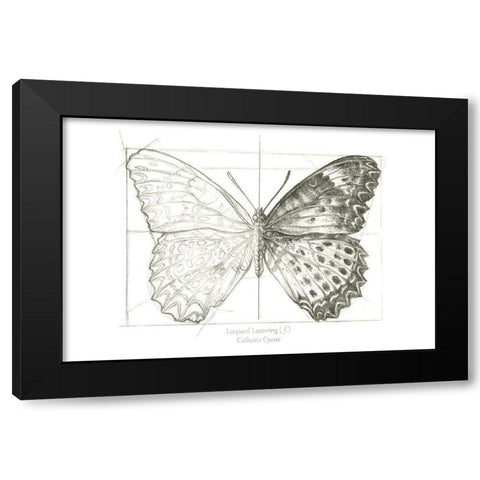 Butterfly Sketch landscape II Black Modern Wood Framed Art Print with Double Matting by Wilson, Kelsey