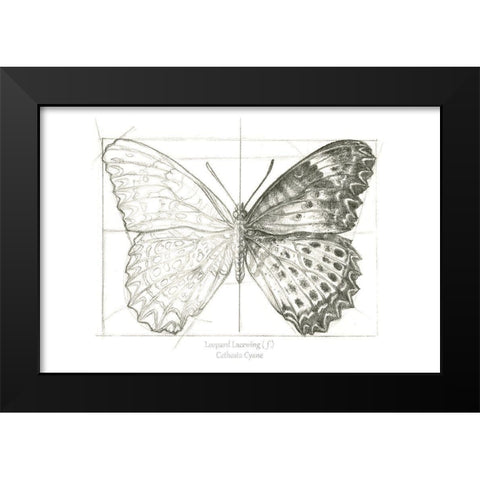 Butterfly Sketch landscape II Black Modern Wood Framed Art Print by Wilson, Kelsey