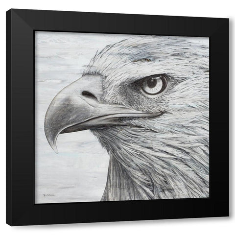 Portrait of an Eagle Black Modern Wood Framed Art Print with Double Matting by Cusson, Marie Elaine