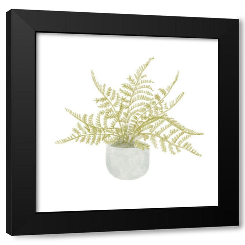 Potted Fern I Black Modern Wood Framed Art Print with Double Matting by Bannarot