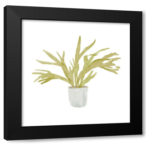 Potted Fern II Black Modern Wood Framed Art Print by Bannarot