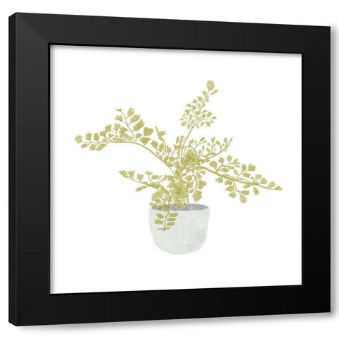 Potted Fern III Black Modern Wood Framed Art Print by Bannarot