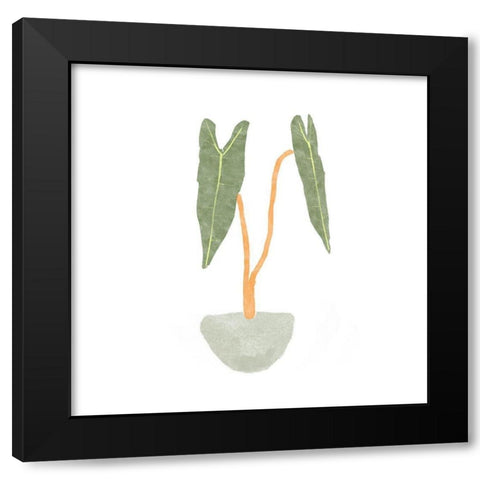 Philodendron Billietiae I Black Modern Wood Framed Art Print by Bannarot