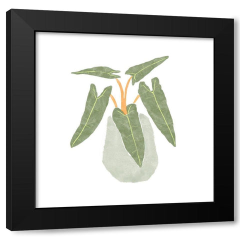 Philodendron Billietiae II Black Modern Wood Framed Art Print by Bannarot