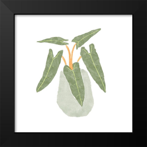 Philodendron Billietiae II Black Modern Wood Framed Art Print by Bannarot