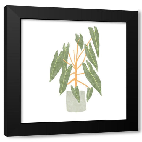 Philodendron Billietiae III Black Modern Wood Framed Art Print by Bannarot