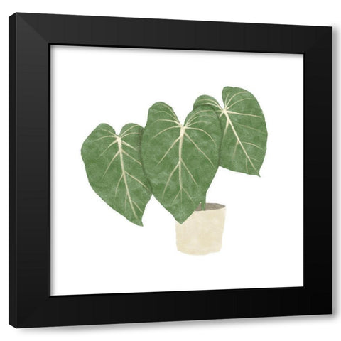 Philodendron Gloriosum IV Black Modern Wood Framed Art Print by Bannarot