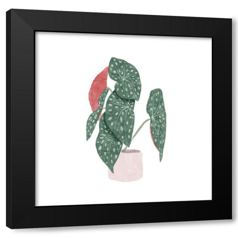 Polka Dot Begonia I Black Modern Wood Framed Art Print by Bannarot