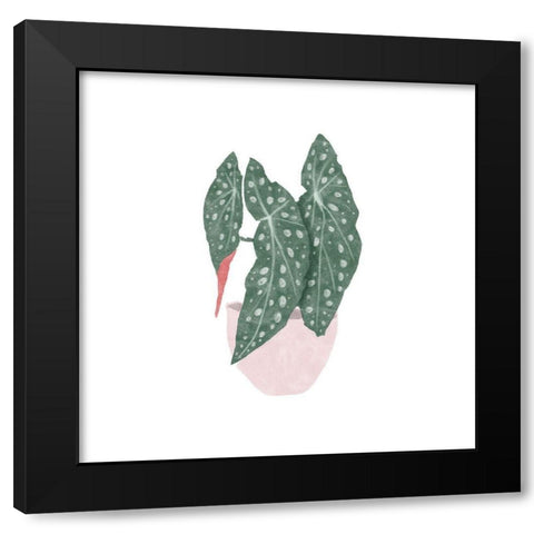 Polka Dot Begonia II Black Modern Wood Framed Art Print by Bannarot