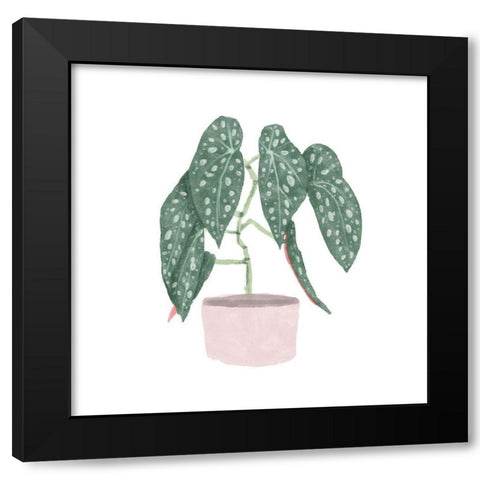 Polka Dot Begonia III Black Modern Wood Framed Art Print by Bannarot
