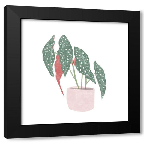 Polka Dot Begonia IV Black Modern Wood Framed Art Print by Bannarot
