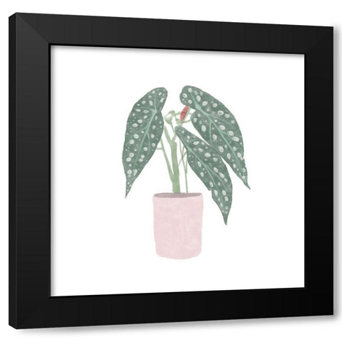 Polka Dot Begonia V Black Modern Wood Framed Art Print by Bannarot